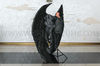 Maleficent wings costume 1.jpg