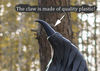 Maleficent wings costume 4.jpg