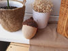 Stuffed biege acorn toy for Home decor.jpg