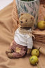 stuffed-animal-teddy-bear-caspar (1).jpg