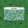 Seamless-pattern-pine-fir-tree-winter-1