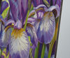 Purple Iris oil painting spring flowers 1.jpg
