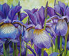 Iris oil painting spring flowers.jpg