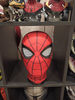 spidermanmask2.jpg