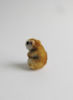 miniature-hamster