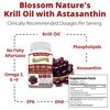 nutrition-forest-krill-oil-04.jpg