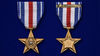 medal-ssha-serebryanaya-zvezda-13.1600x1600.jpg