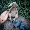 art-teddy-rabbit1.jpg