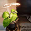 growlightsforindoorplants2.png