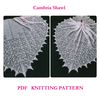 cambria-shawl.jpg