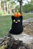 black-cat-pumpkin-2