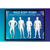 Male Body Poses.jpg
