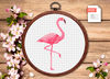 anm028-Flamingo-A1.jpg