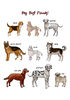 Poster Dogs Sketches Set 2_ум.jpg