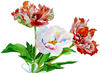 Poster Bouquet with pink white peony and tulips 2-05 A4 size_3.jpg