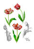 Poster with tulips2-03 A4 size_2.jpg