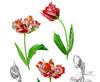 Poster with tulips2-03 A4 size_3.jpg