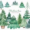 1-1 Christmas tree watercolor.jpg