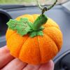 Pumpkin-car-charm-1[1].jpg