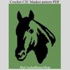 crochet-C2C-horse-blanket.png