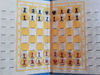 pocket_chess8.jpg