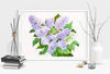 Bouquet of Lilac 1.jpg