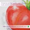 tomato-1-33.jpg
