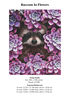 Raccoon575 color chart01.jpg