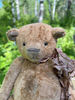 stuffed-animal-teddy-bear-plush.jpg