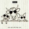 Farm-animals-with-sunglasses-for-Cricut-Cow-pig-goat.jpg