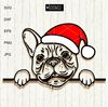 Christmas-French-bulldog-in-Santa-hat.jpg
