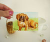 Funny Red Puppy Dog, ACEO, Watercolor, animal 03.JPG