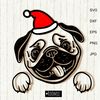 Christmas-Pug-Dog-Santa-hat.jpg