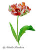 Digital clipart with tulips_1_cover_5.jpg