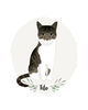 Custom-pet-Portrait-cat-illustration-9.jpg