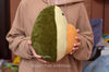 avocado-pillow