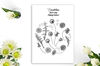 Dandelions Sketches Clipart 5.jpg