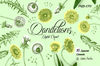 Yellow Dandelions Digital Clipart 1.jpg