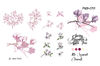 Sakura and Magnolia Cover 3.jpg