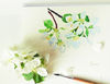Lilac Spring Garden cover 5_1.jpg