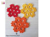 Flower_crochet_pattern (9).jpg