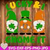 Tulleland-St-Patricks-Day-Gnome-Green-Shamrock-Gnome-with-Leprechaun-Hat-Gnome-with-clover-digital-design-Cricut-svg-dxf-eps-png-ipg-pdf-cut-file.jpg