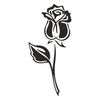 black roses6.jpg