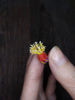 miniature-sea-cucumber-1.jpg