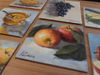 Fruit-painting-apples.JPG