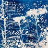 blue_and_white_encaustic_botanical_abstract_collage_tissue_box_cover_12.jpg