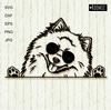 Pomeranian-Spitz-with-sunglasses-black-and-white-Clipart-.jpg