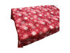 Christmas-tablecloth IMG20221025162353.jpg