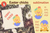 Easter chicks.jpg