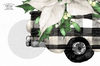 White Christmas Truck_04.JPG